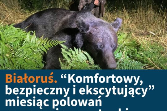 Białoruskie Ministerstwo Sportu i Turystyki pochwaliło się, że "stworzono wszyst...