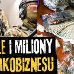 Jak kibole latami rozwijali narkobiznes?