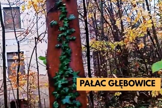 Lubię tu wracać. Nie dla pałacu, który niszczeje z roku na rok, przyjeżdżam tu d...