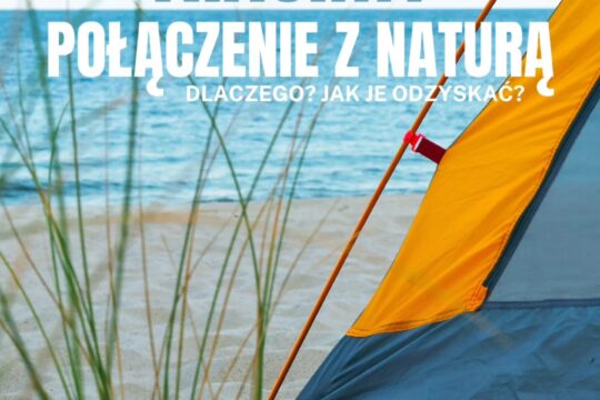 Nasza więź z naturą słabnie, a w im bardziej zurbanizowanym, bogatszym i technologicznie rozwiniętym...