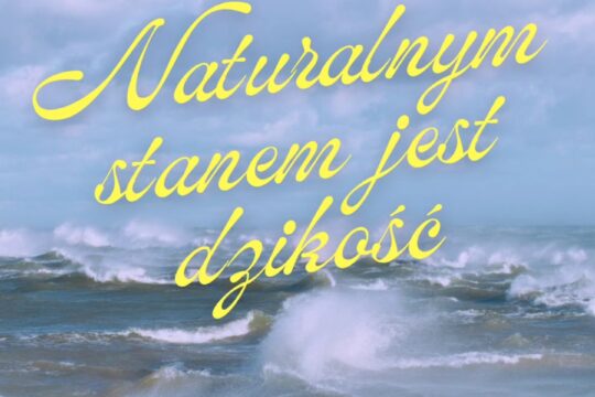 Naturalnym stanem jest dzikość!...