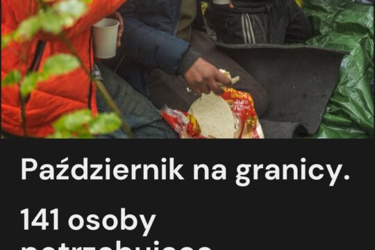 Październik - jak wyglądał ten miesiąc na granicy? Otrzymaliśmy prośby o wsparcie od 141 osób. 5 z nich to kob...