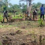Trwa zbiórka na budowę szklarni w Sierra Leone....