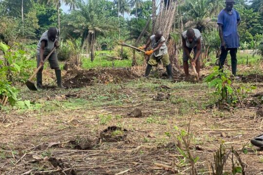 Trwa zbiórka na budowę szklarni w Sierra Leone....