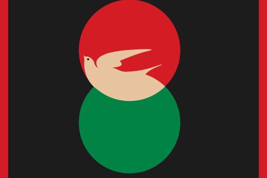 W Palestynie nie ma ani pokoju, ani wolności. Mimo formalnego zawieszenia broni w Strefie Gazy, Palestyńczycy ...