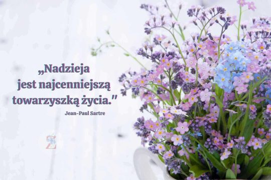 Informujemy, że zakończyły się poszukiwania 96-letniej Pani. 
Kobieta jest cała ...