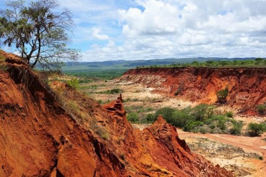 Na Madagaskarze aż 81% ludności żyje poniżej progu ubóstwa. Jest to kraj, w któr...