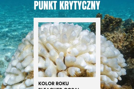 Naukowcy alarmują, że Ziemia osiągnęła pierwszy klimatyczny punkt krytyczny....