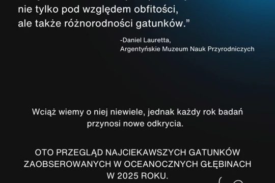 Oceany wciąż pozostają jednym z najbardziej tajemniczych miejsc na naszej planecie. Choć badamy je o...