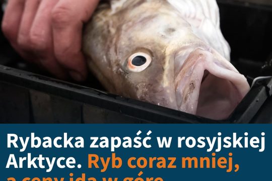 Połowy spadają, a Rosjanie narzekają na gwałtownie rosnące ceny ryb - to skutki ...