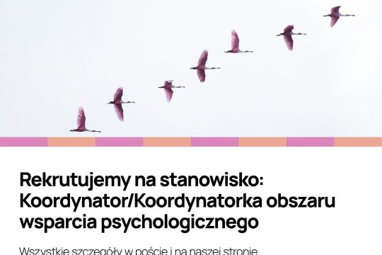 Rekrutujemy na stanowisko:...