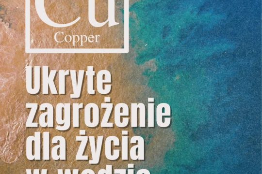 Zanieczyszczenie środowiska morskiego metalami ciężkimi w wyniku działalności człowieka jest poważny...